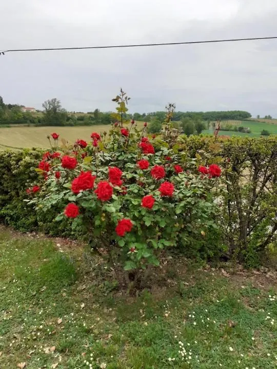Gite De La Cheneraie Montpezat-de-Quercy
